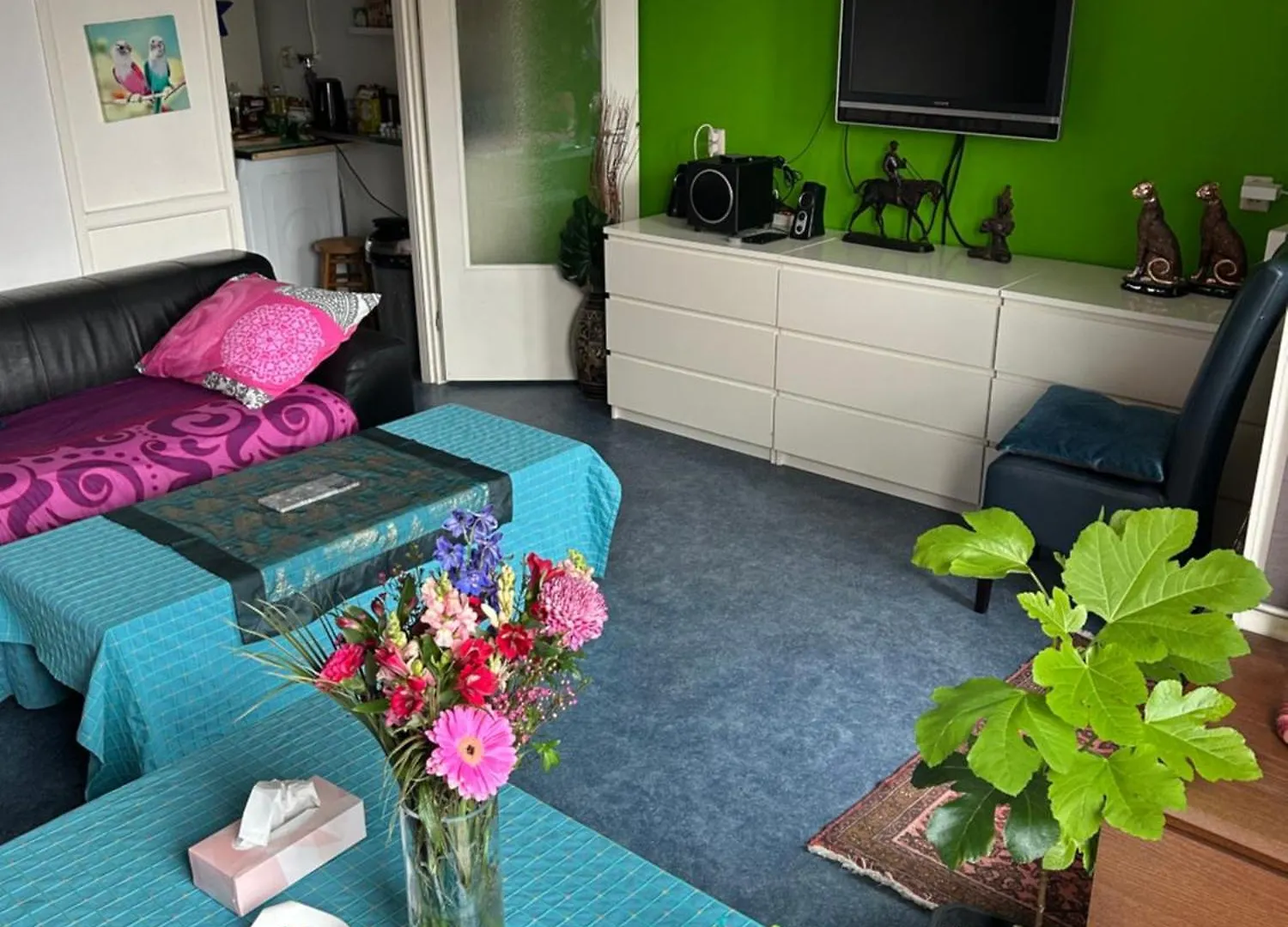B&B Calypso Amsterdam contacts